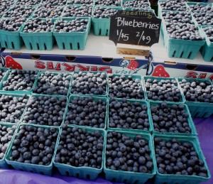 Seedling's Michigan blueberries