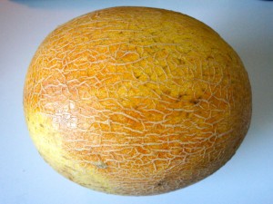 Melon from Chicago's Green City Market