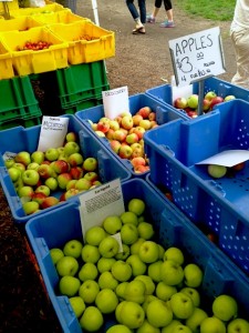 Illinois' Nichols Farm and Orchard stand