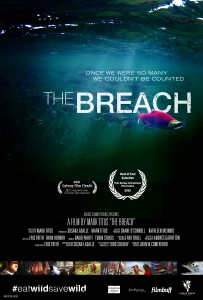 The Breach movie poster