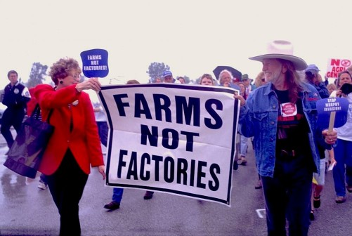 Willie Nelson marching in support of family farms