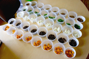 During the Pilot Light 2nd grade class on immigration and food taught by chef Paul Kahan, children sample ingredients from a variety of ethnic cultures (pepitas, snow peas, mozzarella chesse, wild rice and sweet potatoes), which were then mixed together with a Middle Eastern pistachio dressing.
