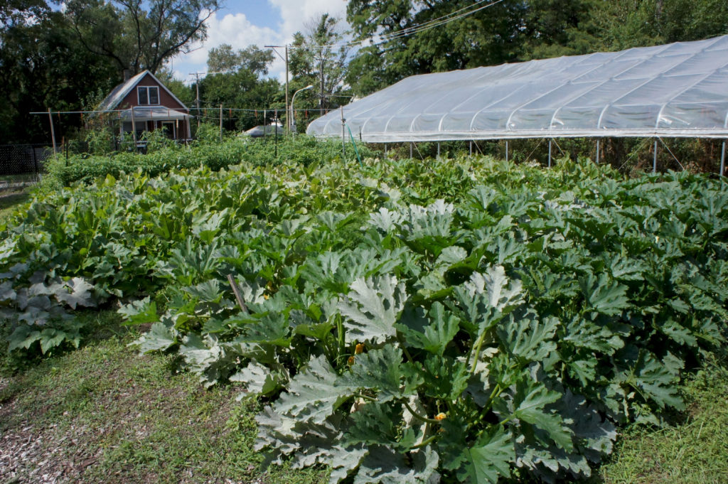 Urban Farm Bus Tour Chicago