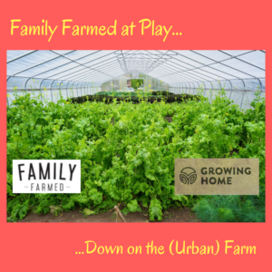 FamilyFarmed at Play