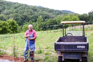 Blackberry Farm