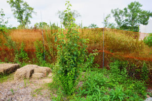 The Talking Farm
